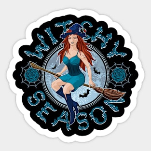 Witch on a broomstick Sticker